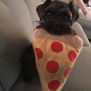 Meet your Posher, Susan